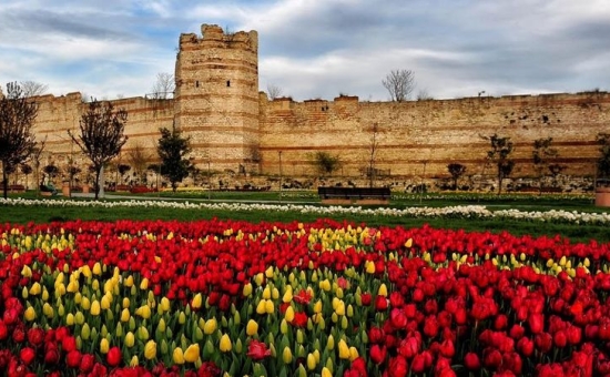 İSTANBUL LALE BAHÇELERİ,ORTAKÖY,EYÜPSULTAN,PİERRE LOTİ TURU 9 NİSAN 2023