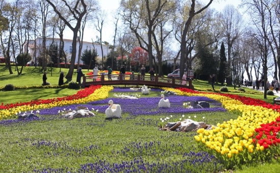İSTANBUL LALE BAHÇELERİ,ORTAKÖY,EYÜPSULTAN,PİERRE LOTİ TURU 29 NİSAN 2023