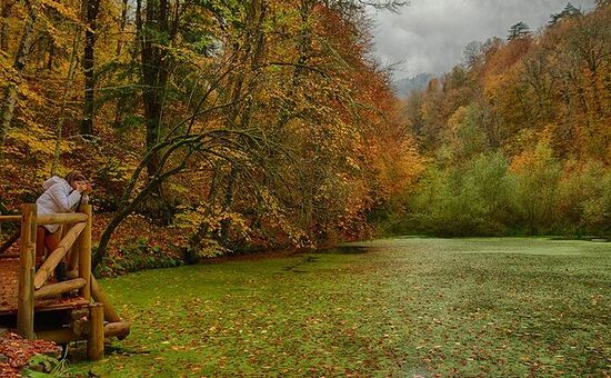YEDİGÖLLER ABANT MUDURNU GÖYNÜK TARAKLI TURU 4-5 KASIM 2023