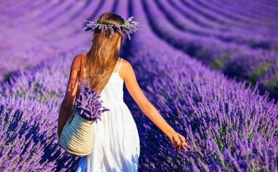 ISPARTA LAVANTA TARLALARI,SALDA GÖLÜ ve PAMUKKALE TURU 04-06 TEMMUZ 2025