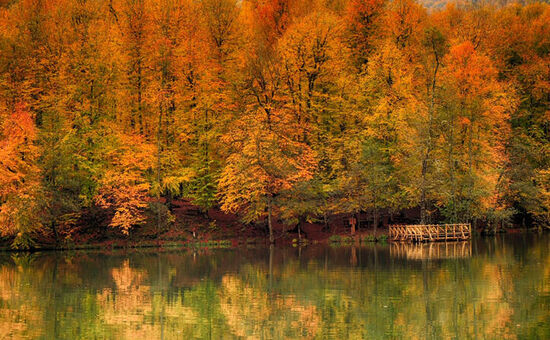 YEDİGÖLLER-ABANT-MUDURNU-GÖYNÜK-TARAKLI TURU 25-26 NİSAN 2026