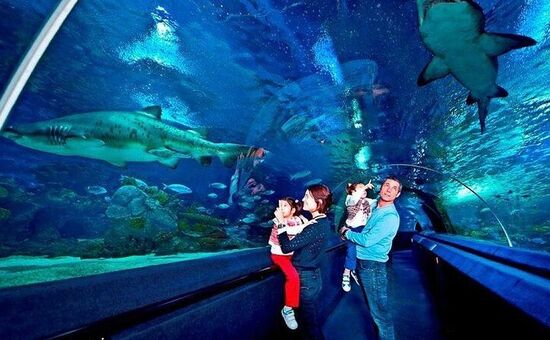 BAYRAMA ÖZEL İSTANBUL FLORYA AKVARYUM-RAHMİ KOÇ MÜZESİ VE DİJİTAL DENEYİM MÜZESİ TURU 22 MART 2026