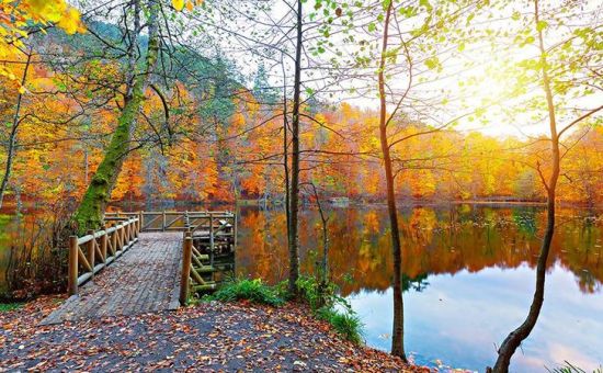 YEDİGÖLLER ABANT GÖYNÜK TARAKLI (06-07 HAZİRAN 2026)