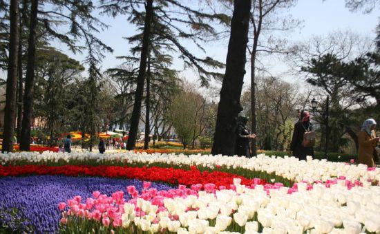 EMİRGAN LALE BAHÇELERİ-ORTAKÖY-EYÜP SULTAN-PİERRE LOTİ TURU 2 MAYIS 2026