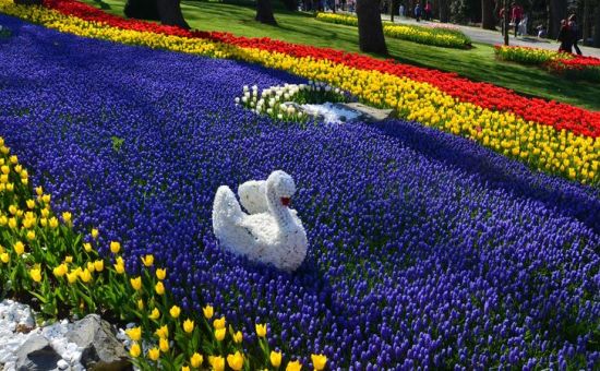 EMİRGAN LALE BAHÇELERİ-ORTAKÖY-EYÜP SULTAN-PİERRE LOTİ TURU 3 MAYIS 2026