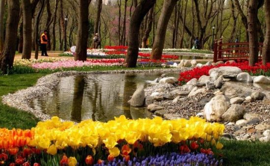 EMİRGAN LALE BAHÇELERİ-ORTAKÖY-EYÜP SULTAN-PİERRE LOTİ TURU 3 MAYIS 2026