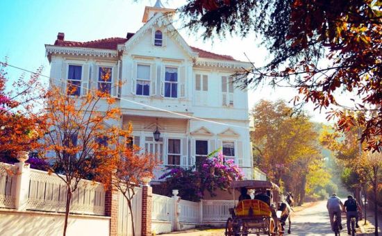 GÜNÜBİRLİK ÖZEL TEKNE İLE İSTANBUL ADALAR  (BÜYÜKADA-HEYBELİADA) VE EMİNÖNÜ TURU 19 TEMMUZ 2026