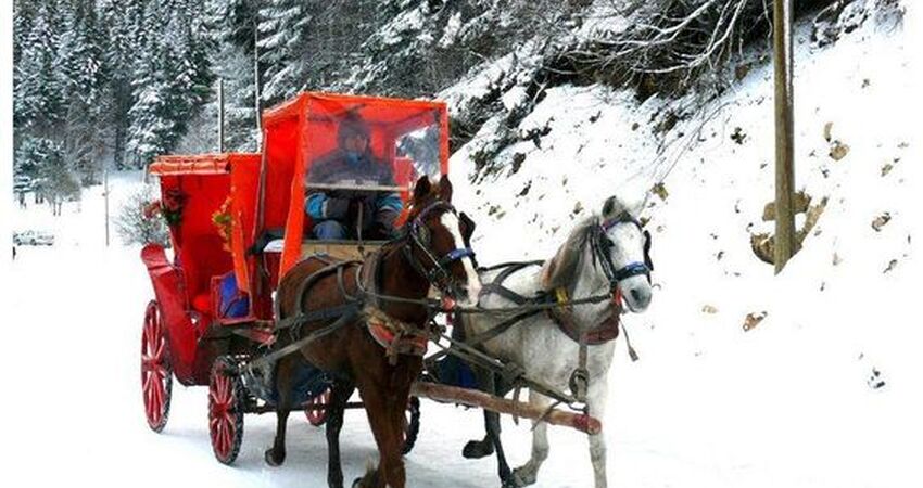 GÜNÜBİRLİK GÖLCÜK GÖLÜ ABANT TURU 07 OCAK 2024