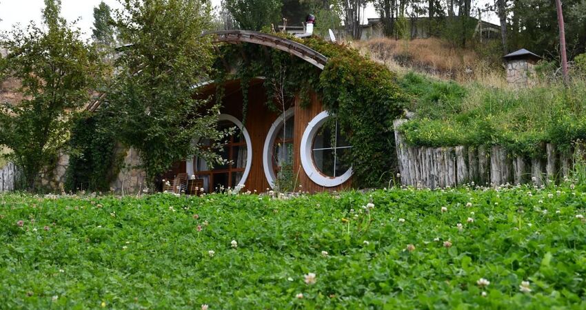 GÜNÜBİRLİK ORMANYA HOBBİT EVLERİ, MAŞUKİYE, SAPANCA TURU 01 MAYIS 2025