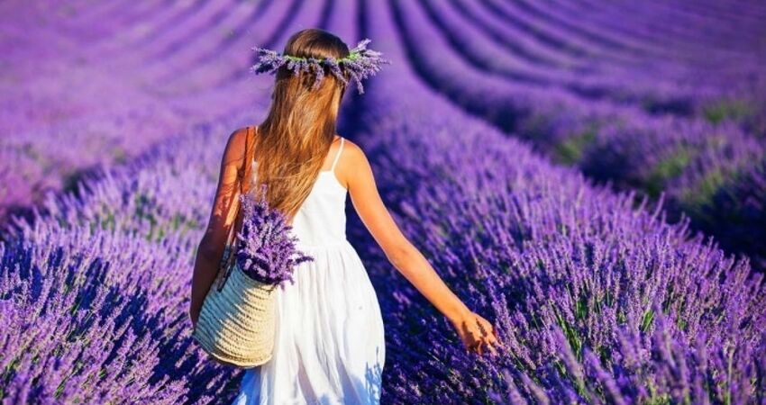 ISPARTA LAVANTA TARLALARI,SALDA GÖLÜ ve PAMUKKALE TURU 04-06 TEMMUZ 2025