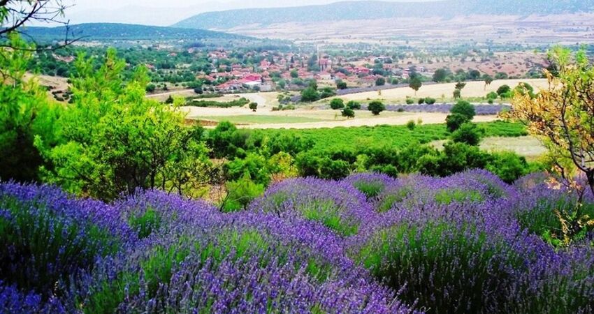 ISPARTA LAVANTA TARLALARI,SALDA GÖLÜ ve PAMUKKALE TURU 04-06 TEMMUZ 2025