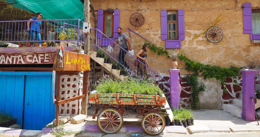 ISPARTA LAVANTA TARLALARI,SALDA GÖLÜ ve PAMUKKALE TURU 04-06 TEMMUZ 2025
