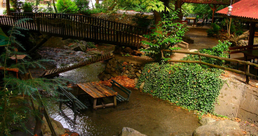 GÜNÜBİRLİK ABANT-MAŞUKİYE ve SAPANCA TURU 11 OCAK 2026