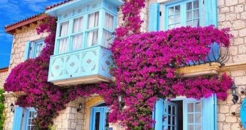 ENGİNAR ZAMANI EGENİN İNCİLERİ VE İZMİR TURU 24-26 NİSAN 2026