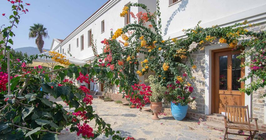 SEVGİLİLER GÜNÜNE ÖZEL DATÇA BADEM ÇİÇEĞİ FESTİVALİ TURU 13-15 ŞUBAT 2026