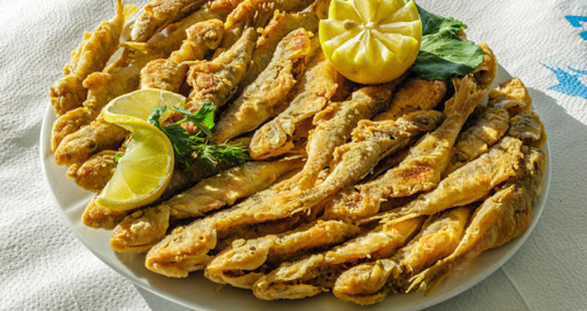 SAFRANBOLU VE AMASRA TURU 11-12 NİSAN 2026