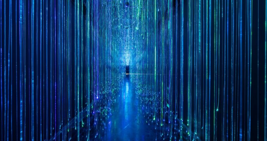 SÖMESTİRE ÖZEL İSTANBUL FLORYA AKVARYUM-RAHMİ KOÇ MÜZESİ VE DİJİTAL DENEYİM MÜZESİ TURU 30 OCAK2026