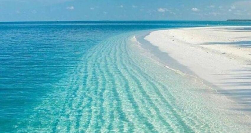 ISPARTA LAVANTA TARLALARI,SALDA GÖLÜ ve PAMUKKALE TURLARI 2026