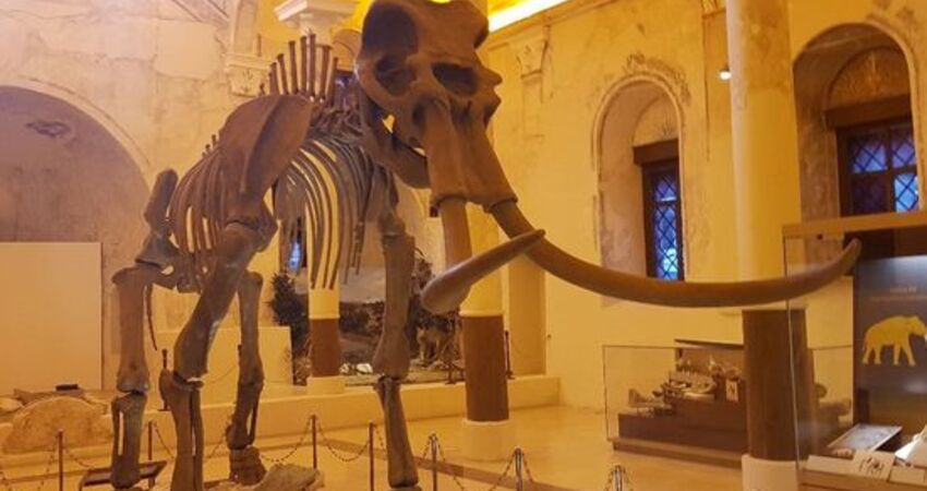 ISPARTA LAVANTA TARLALARI,SALDA GÖLÜ ve PAMUKKALE TURLARI 2026