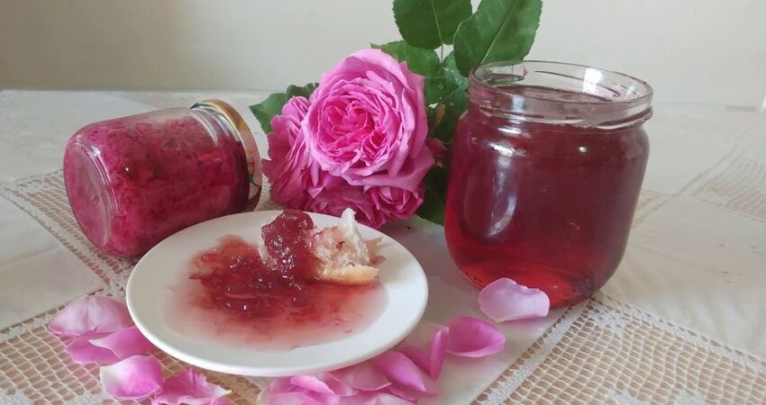 ISPARTA LAVANTA TARLALARI,SALDA GÖLÜ ve PAMUKKALE TURLARI 2026