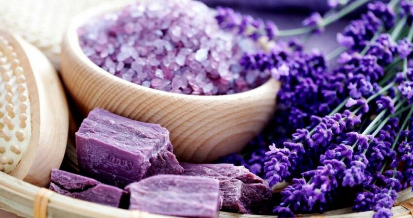 ISPARTA LAVANTA TARLALARI,SALDA GÖLÜ ve PAMUKKALE TURLARI 2026