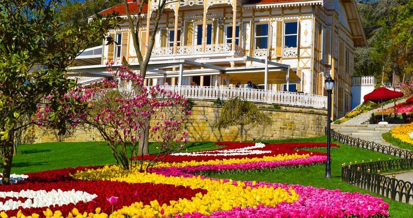 İSTANBUL EYÜPSULTAN,PİERRE LOTİ,ORTAKÖY ve LALE BAHÇELERİ TURLARI 2026