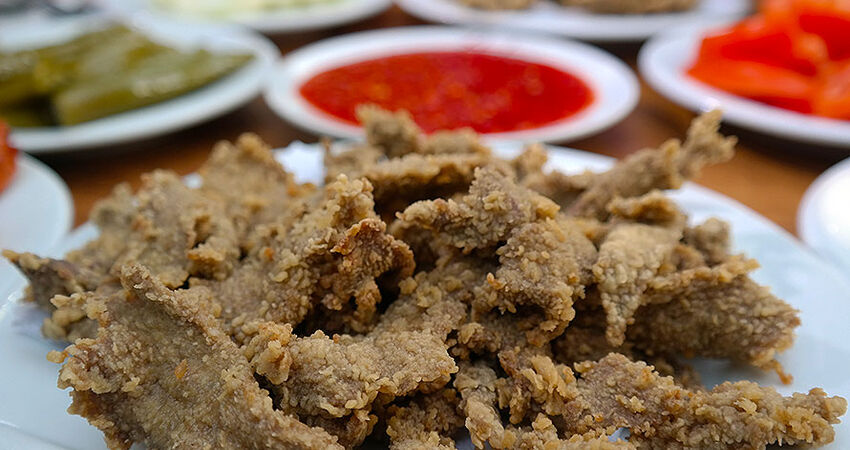 EDİRNE KAKAVA ŞENLİĞİ TURU 5 MAYIS 2026