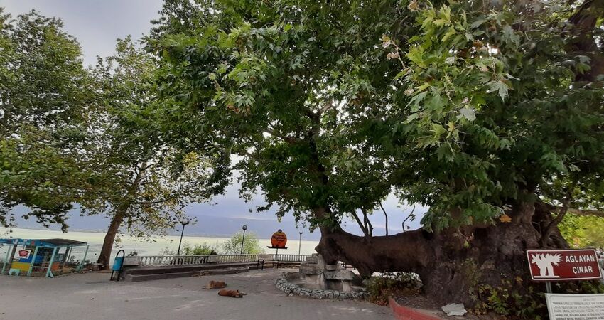 BURSA CUMALIKIZIK,GÖLYAZI,ULUBAT GÖLÜ,TRİLYE,MUDANYA TURU -27 HAZİRAN 2026