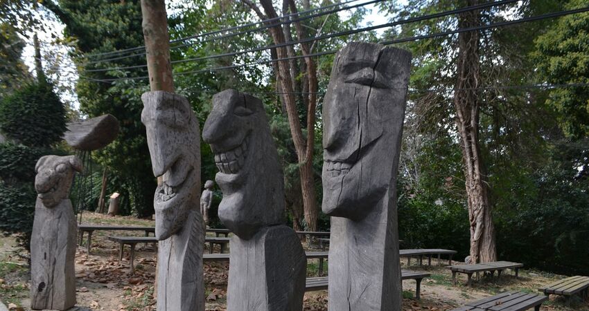 ŞİLE VE AĞVA TURU -14 HAZİRAN 2026