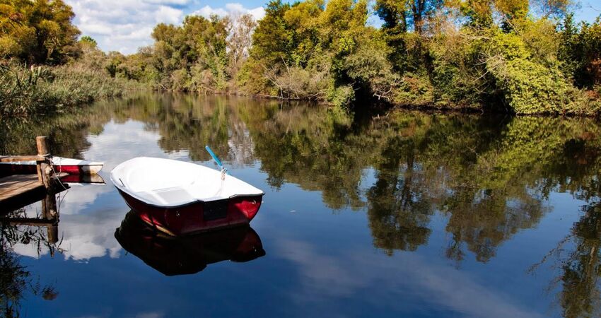 ŞİLE VE AĞVA TURU -26 TEMMUZ 2026