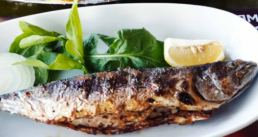 ŞİLE VE AĞVA TURU -26 TEMMUZ 2026