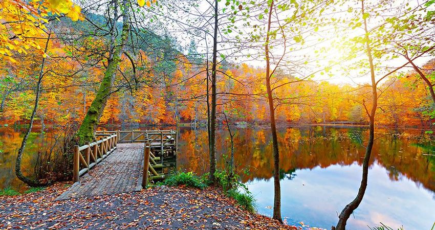 YEDİGÖLLER ABANT GÖYNÜK TARAKLI (06-07 HAZİRAN 2026)