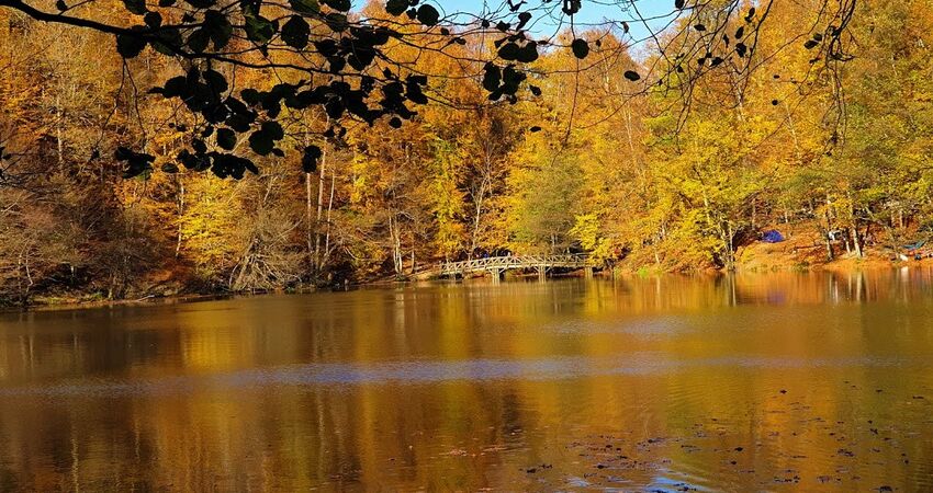 YEDİGÖLLER ABANT GÖYNÜK TARAKLI (06-07 HAZİRAN 2026)