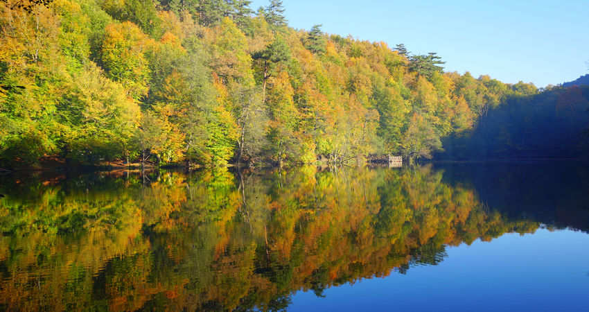 YEDİGÖLLER ABANT GÖYNÜK TARAKLI (06-07 HAZİRAN 2026)