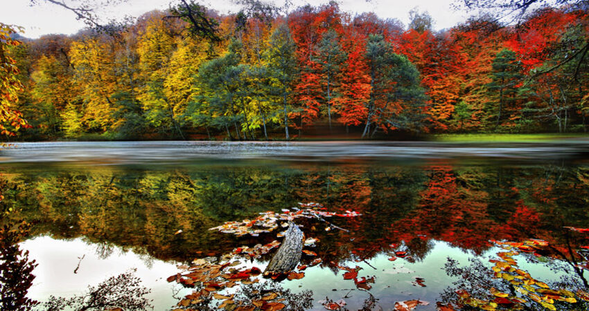 YEDİGÖLLER ABANT GÖYNÜK TARAKLI (06-07 HAZİRAN 2026)