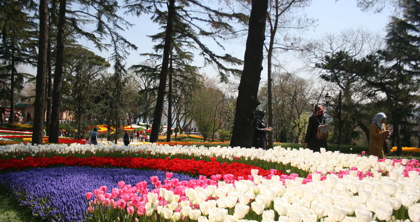 EMİRGAN LALE BAHÇELERİ-ORTAKÖY-EYÜP SULTAN-PİERRE LOTİ TURU 2 MAYIS 2026