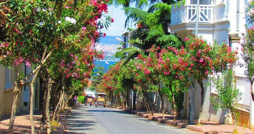 GÜNÜBİRLİK ÖZEL TEKNE İLE İSTANBUL ADALAR  (BÜYÜKADA-HEYBELİADA) VE EMİNÖNÜ TURU 19 TEMMUZ 2026