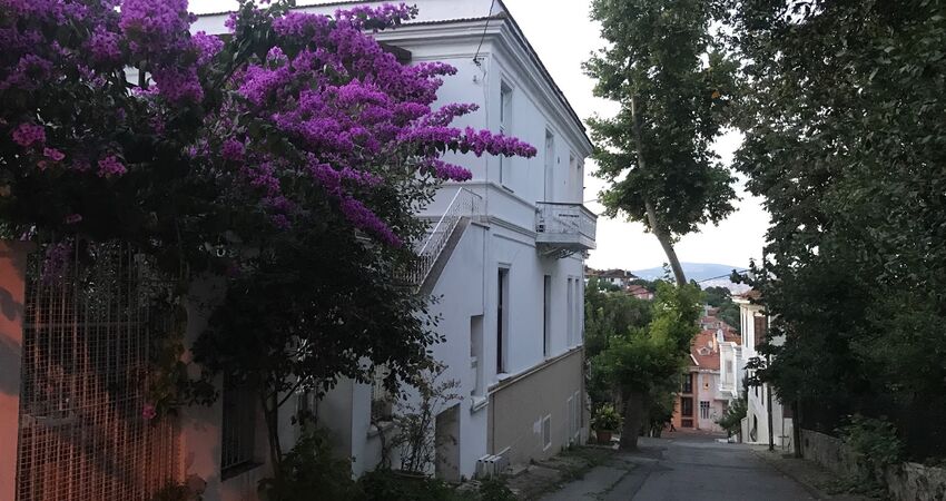 GÜNÜBİRLİK ÖZEL TEKNE İLE İSTANBUL ADALAR  (BÜYÜKADA-HEYBELİADA) VE EMİNÖNÜ TURU 19 TEMMUZ 2026