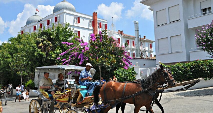 GÜNÜBİRLİK ÖZEL TEKNE İLE İSTANBUL ADALAR  (BÜYÜKADA-HEYBELİADA) VE EMİNÖNÜ TURU 19 TEMMUZ 2026