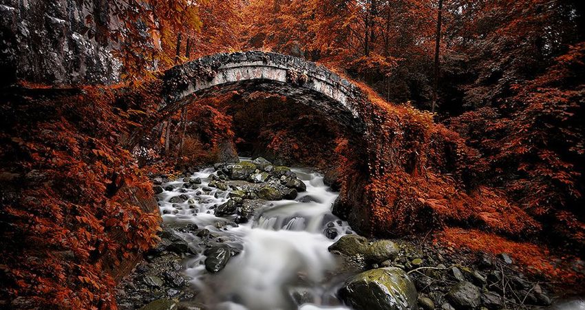 YEDİGÖLLER ABANT GÖYNÜK TARAKLI TURU 10-11 EKİM 2026